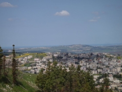ccc